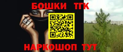 стаф Обнинск