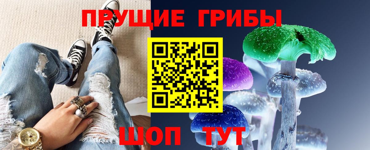 ГАШ Озёрск